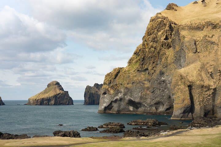 Vestmannaeyjar, Puffins & Volcanoes Small Group Day Tour