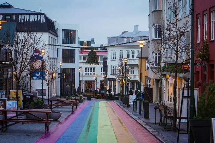 Reykjavik Food Tour and City Walk - PRIVATE TOUR
