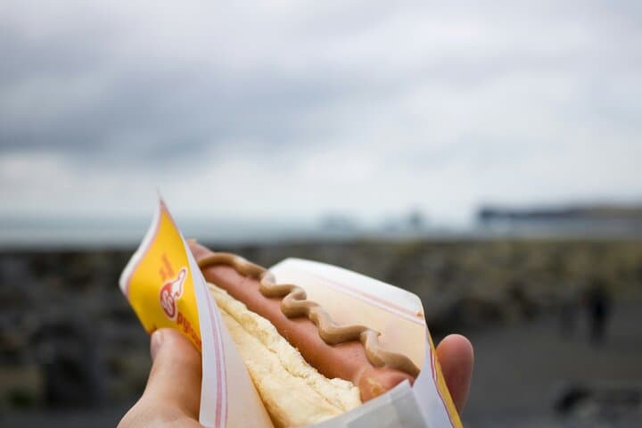 Reykjavik Food Tour and City Walk - PRIVATE TOUR