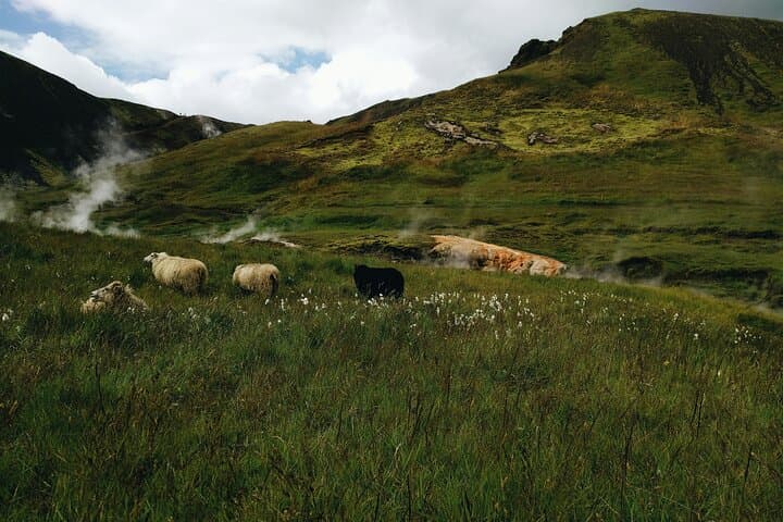 Reykjadalur hike, from Reykjavík - PRIVATE TOUR