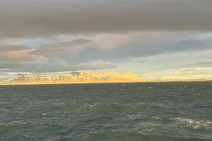 Enjoy stunning views of Esja mountain and the Icelandic coast during your Whale Watching cruise.