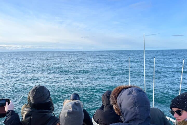 Guests eagerly scan the horizon in search of whales on a bright, crisp Icelandic day.