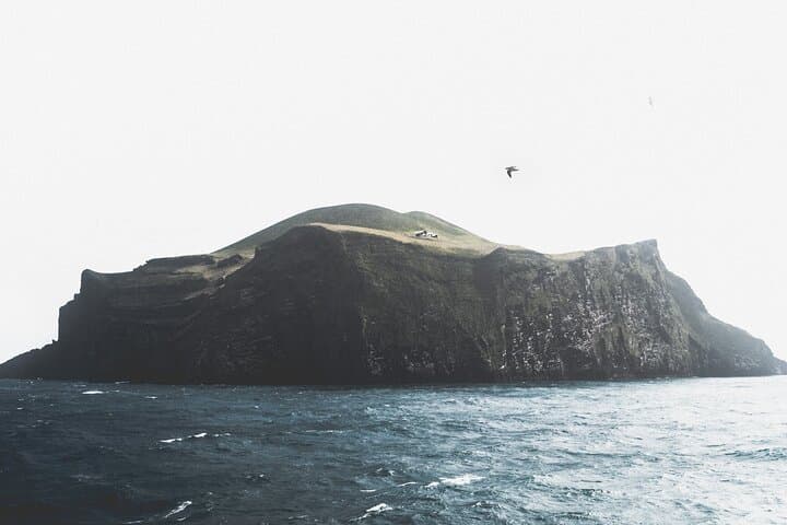 Private Volcanic Westman Islands Day Tour