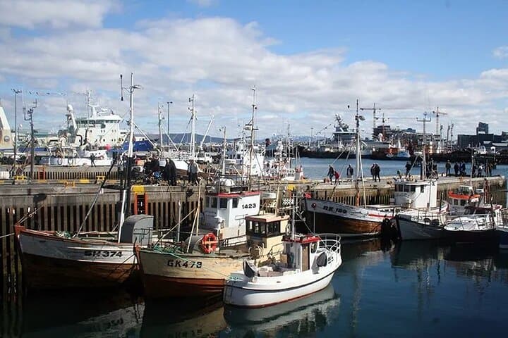 7 Days Gracious Southwest Iceland