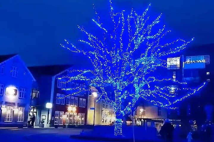 Reykjavik Christmas Walking Tour