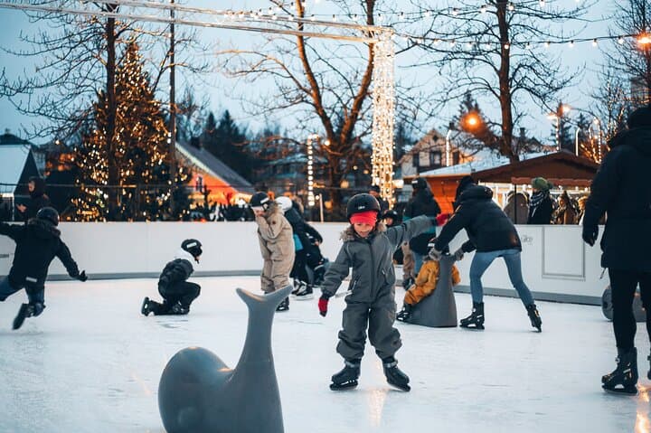 The Icelandic Christmas Advent Driving Tour