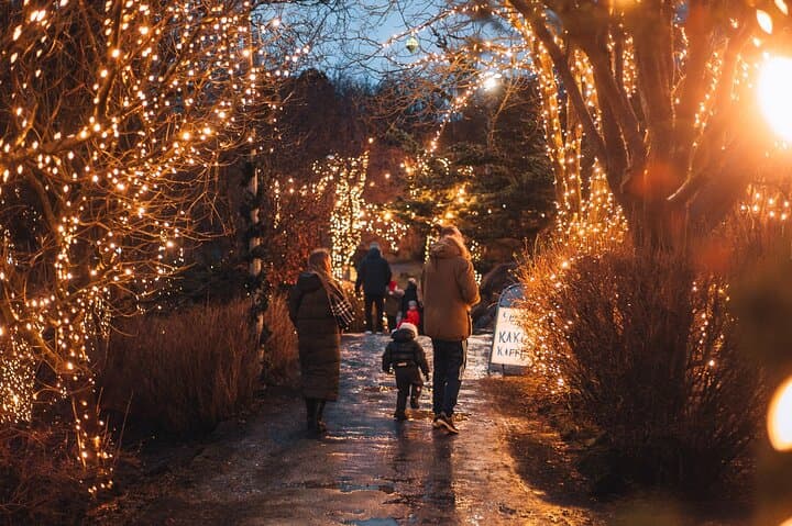 The Icelandic Christmas Advent Driving Tour