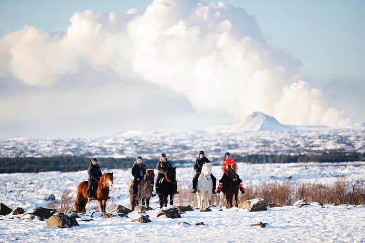 Icelandic Horseback Riding Tour with Pickup Option from Reykjavik