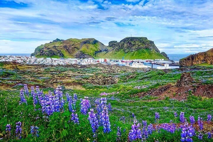 The Westman Islands