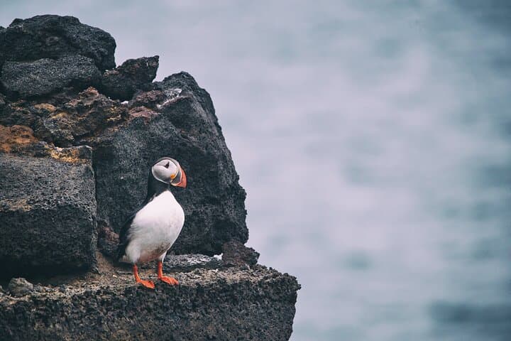 The Westman Islands