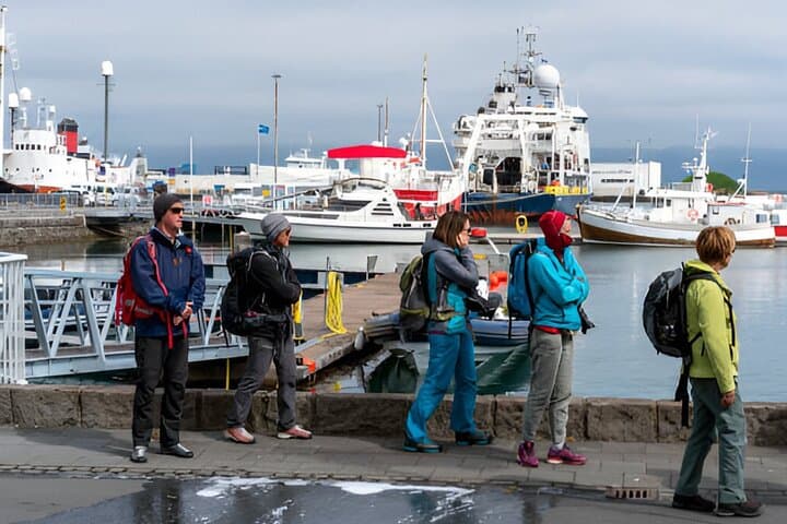 Private Reykjavik City Tour in Multi-Language Guide Options