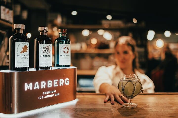 Craft Gin Tasting in Reykjavik’s Old Harbor: Meet the Maker