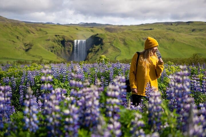 Skógafoss Waterfall