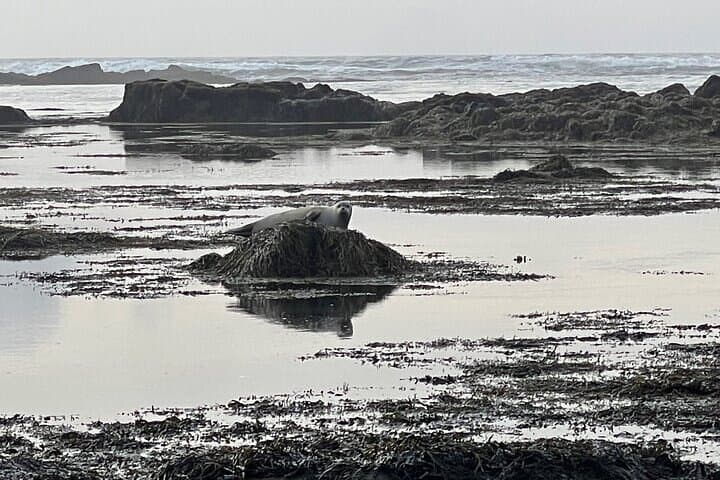 Snaefellsnes Peninsula Private Tour