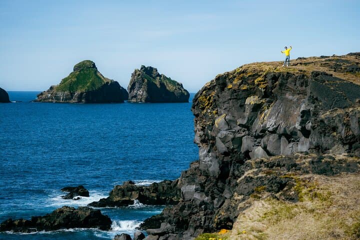 Vestmannaeyjar Private Day Tour Puffins and Hidden Gems