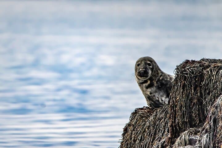 Private Snaefellsnes Tour from Reykjavik by Jeep or VClass