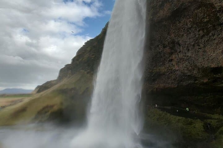 Private South Coast: Black Sand Beach & Waterfalls from Reykjavik