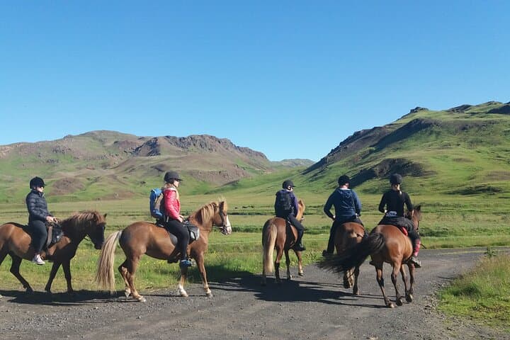 Horse Riding Tour in Reykjadalur (Smoky Valley)-All Riding Levels