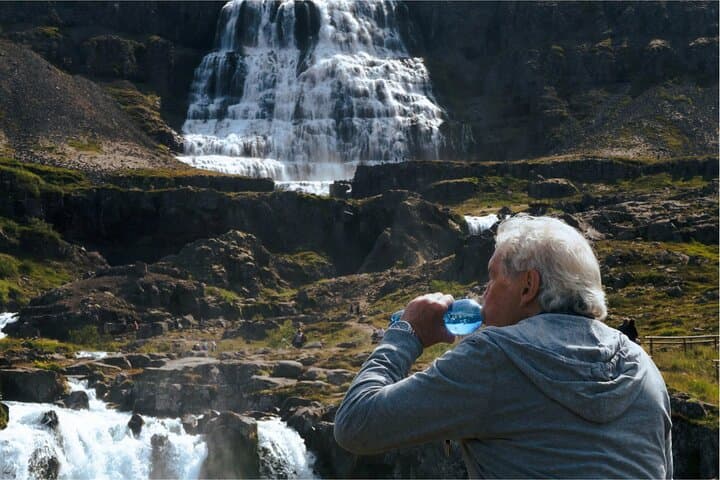 Dynjandi Waterfall, Fishing Village, and Bird Sanctuary