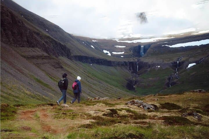 Isafjordur and Westfjords Private Day Tour