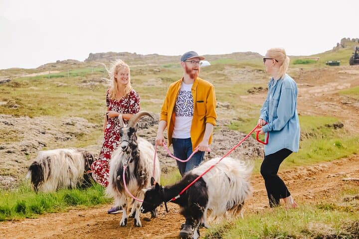 Goat Walk