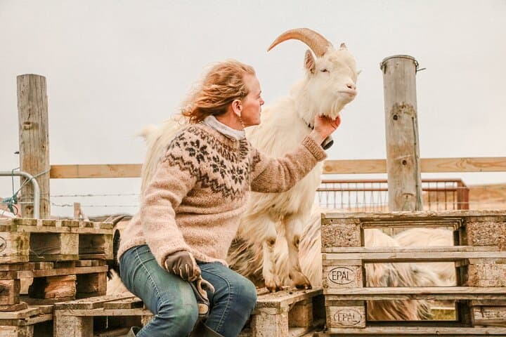 Goat Walk