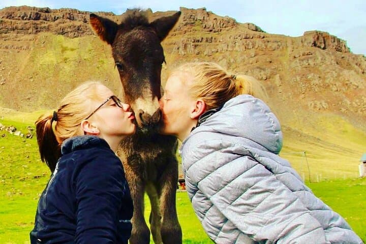 Farm Visit & Cozy Stay with Golden and Silver Circle Wonders