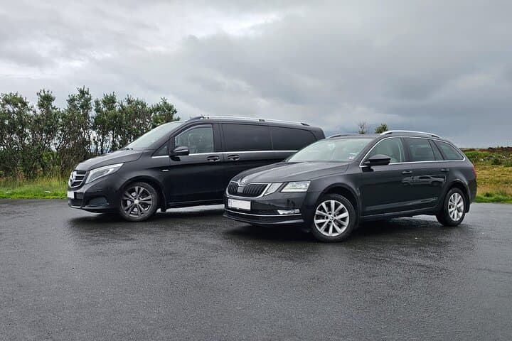Reykjavik Hotels and Cruise Port: Private Transfer