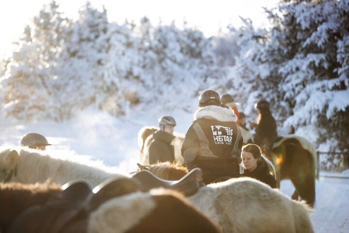 Private Icelandic Horseback Ride: Matched to Skill Level