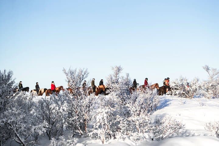 Private Icelandic Horseback Ride: Matched to Skill Level