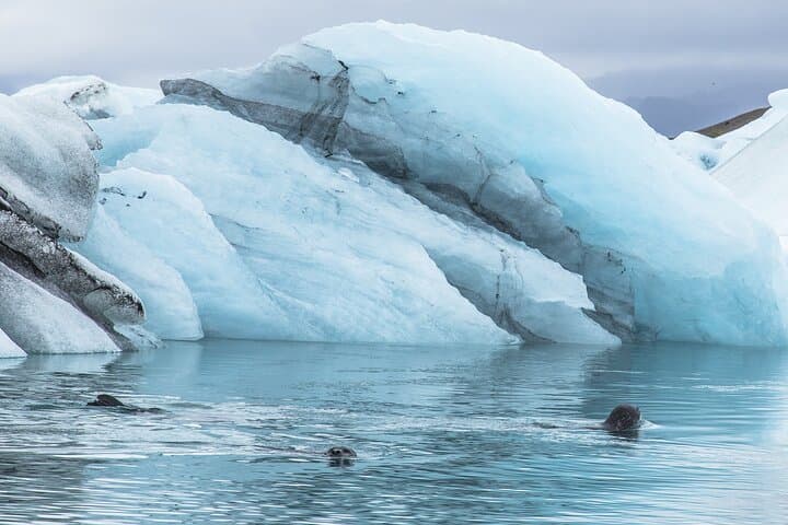 Jökulsárlón Glacier Lagoon Private tour