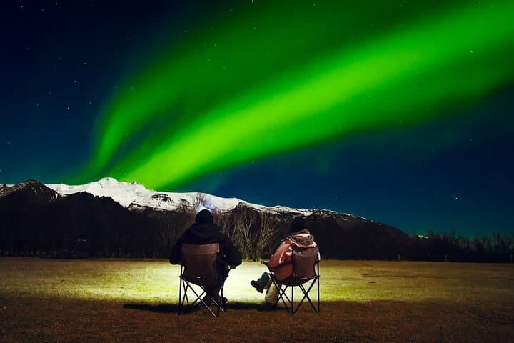 Reykjavik: Northern Lights Coach Tour with Live Forecast