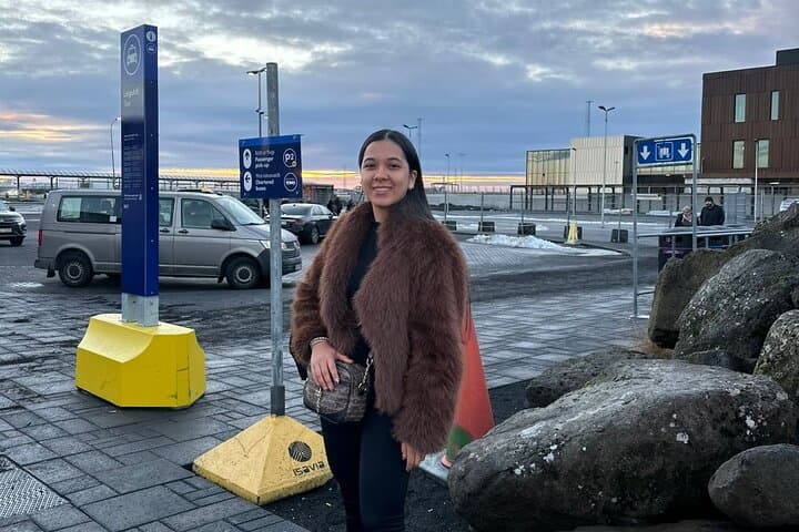 Private Transfer from Reykjavik to Keflavik Airport