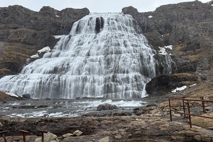 Patreksfjordur and Westfjords Private Day Tour