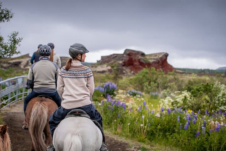 Icelandic Horseback Riding Tour from Reykjavik