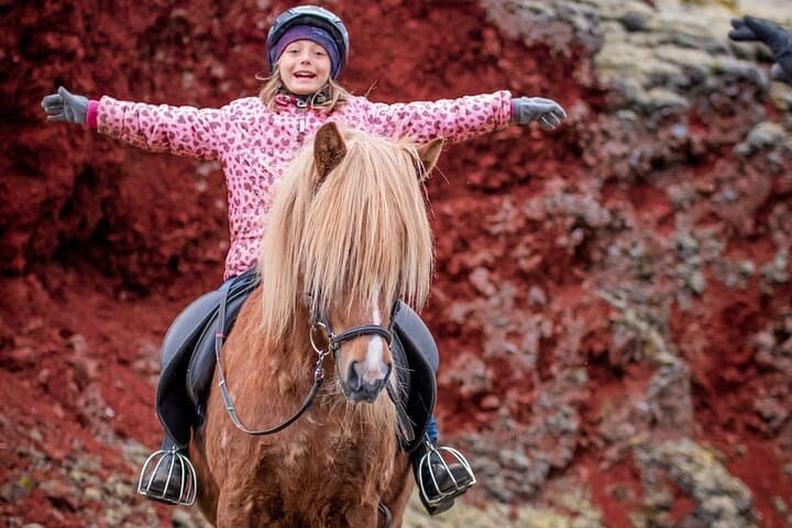 Icelandic Horseback Riding Tour from Reykjavik