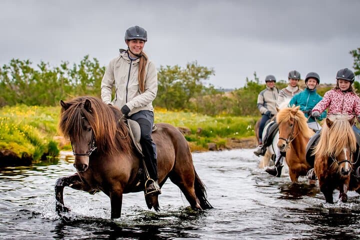 Icelandic Horseback Riding Tour from Reykjavik