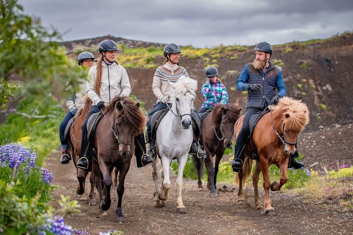 Icelandic Horseback Riding Tour from Reykjavik