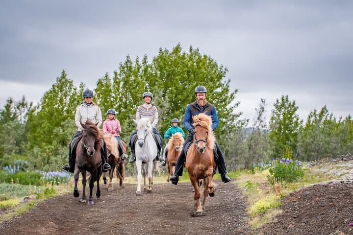 Icelandic Horseback Riding Tour from Reykjavik