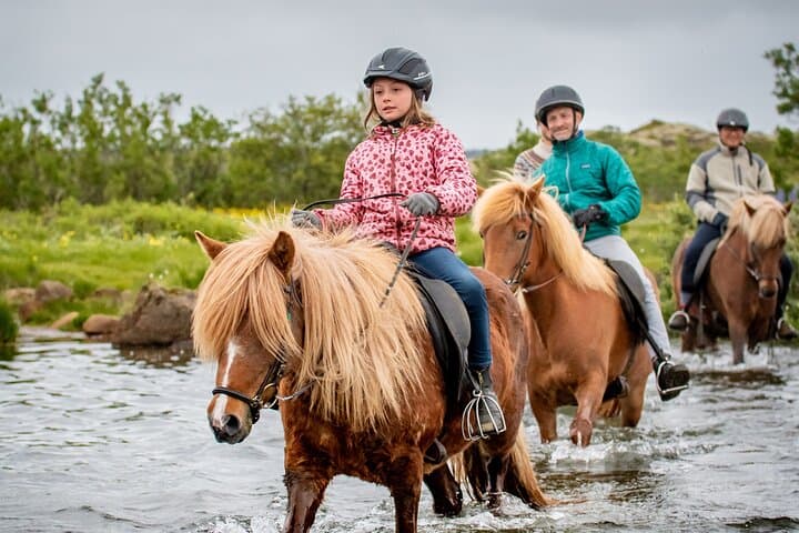 Icelandic Horseback Riding Tour from Reykjavik