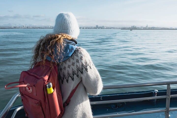 Reykjavik Shore Excursion: Whale-Watching Cruise