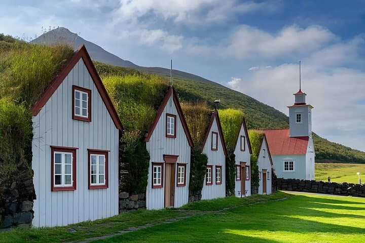 Akureyri Port: Small Group Godafoss and Laufas Turf House Tour