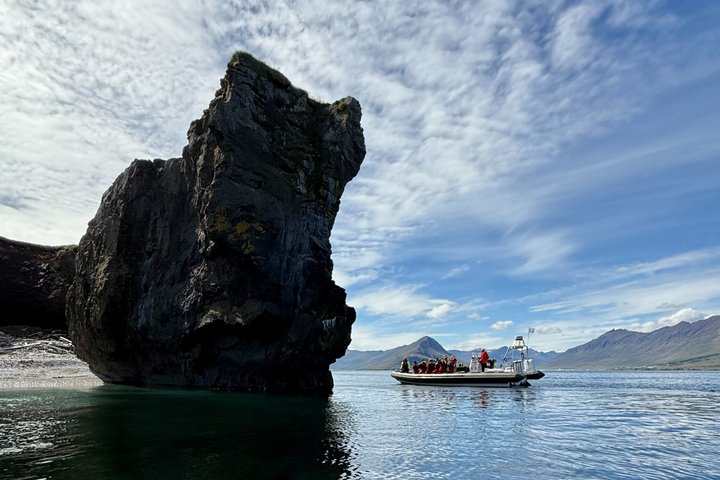 Neskaupstaður RIB Boat Tour with Drink