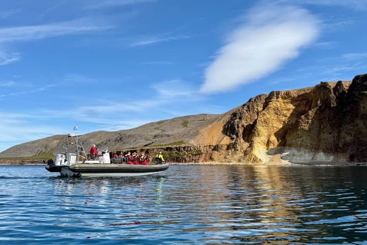 Neskaupstaður RIB Boat Tour with Drink