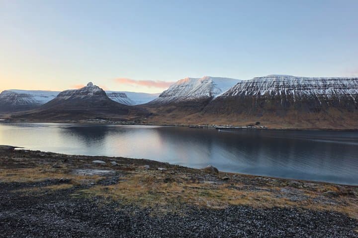 Seal Watching and Scenic Fjord Tour from Isafjordur Port