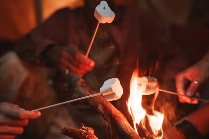 Aurora Hunt with Campfire Thermal Suits and Marshmallows