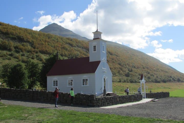 Half-Day Combo Tour to Goðafoss, Laufas and The Christmas House