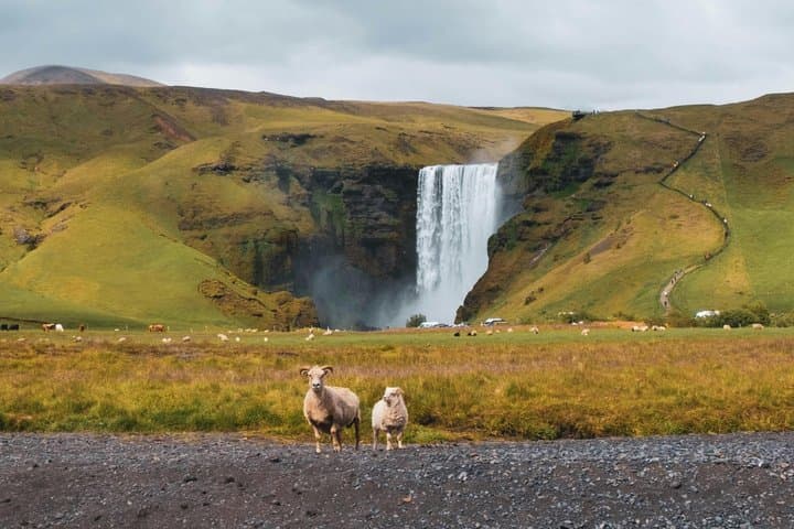 South Coast Private Tour with Laugaras Lagoon from Reykjavik