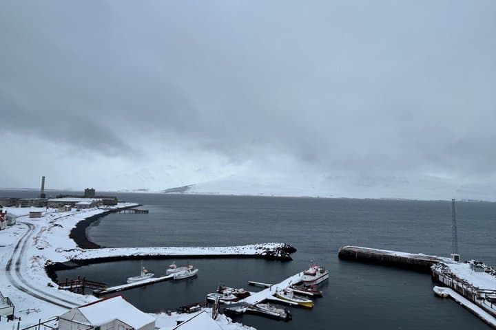 Whale Watching from Akureyri with Roundtrip Transfer