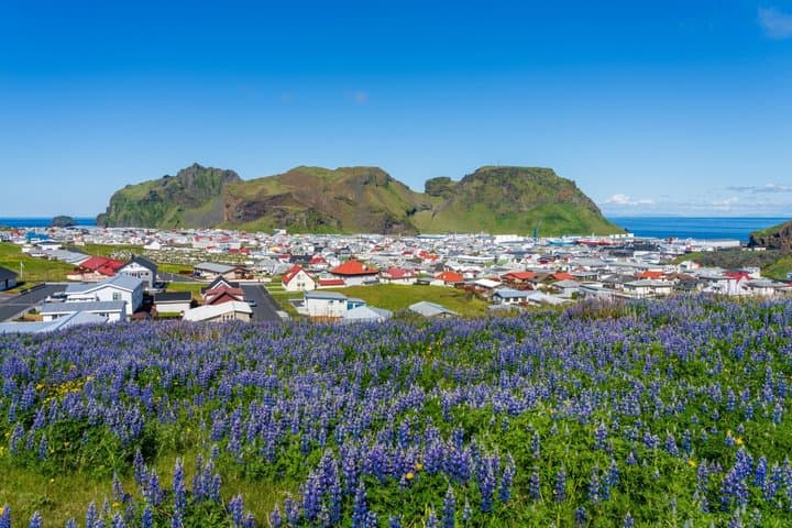 Private Westman Islands: Volcano, Wildlife and Scenic Views